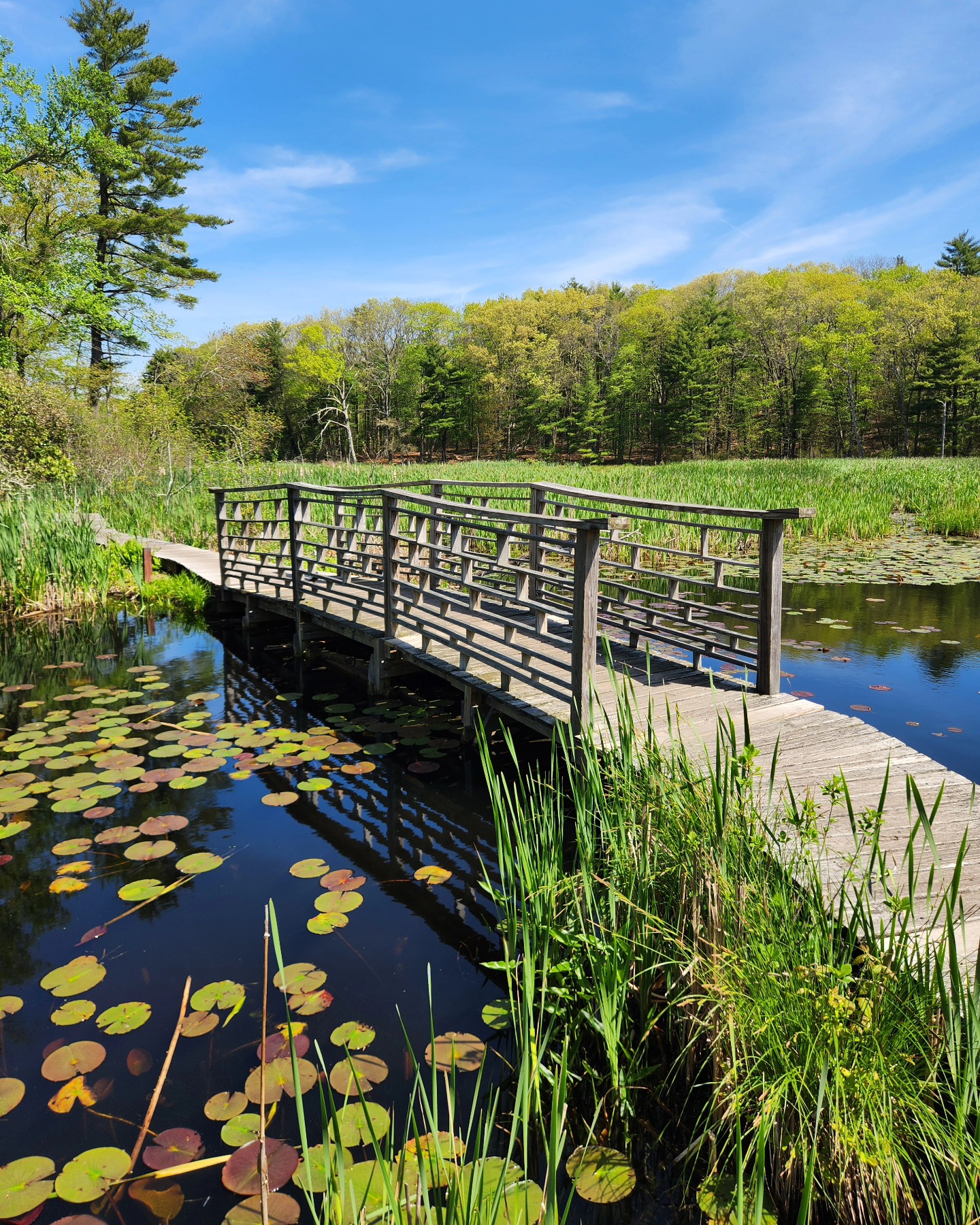 Ipswich River Paddling
